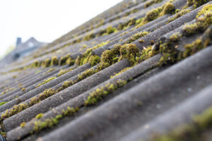 Roof With Moss On It